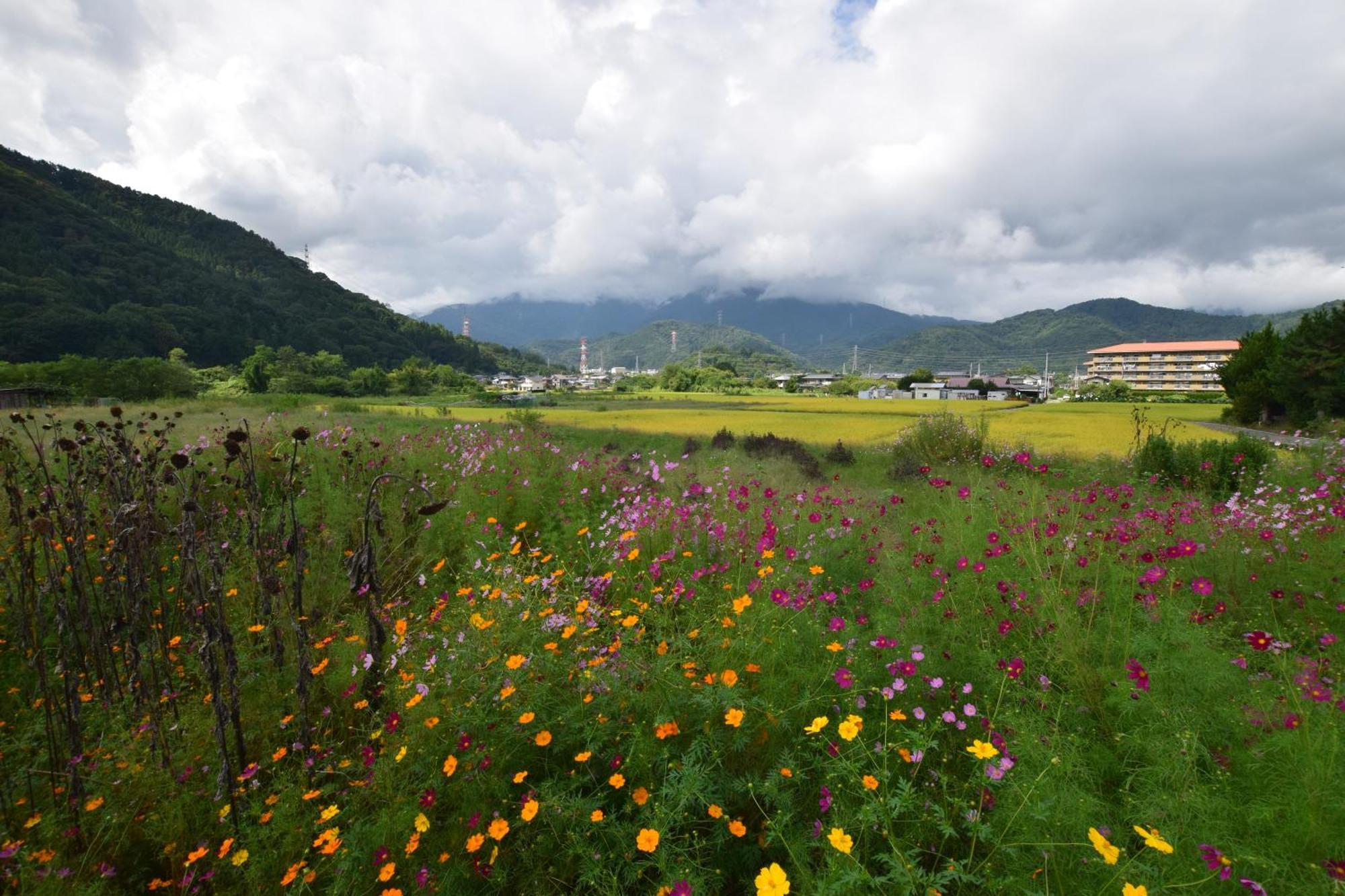 Gate Yamanashi Tsuru Villa Екстериор снимка